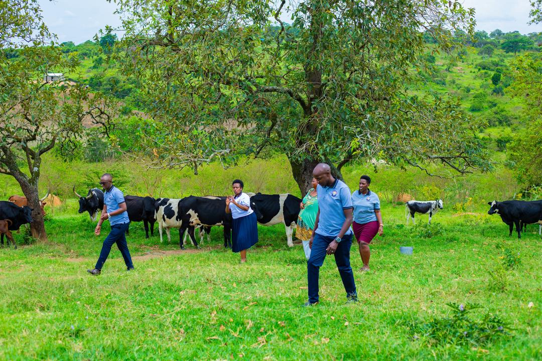 SACCO gallery image 8