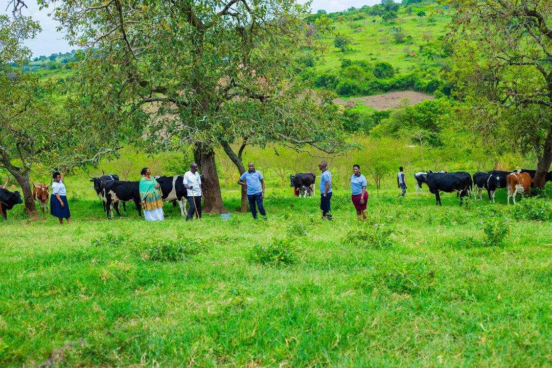 NAPS slideshow image 3