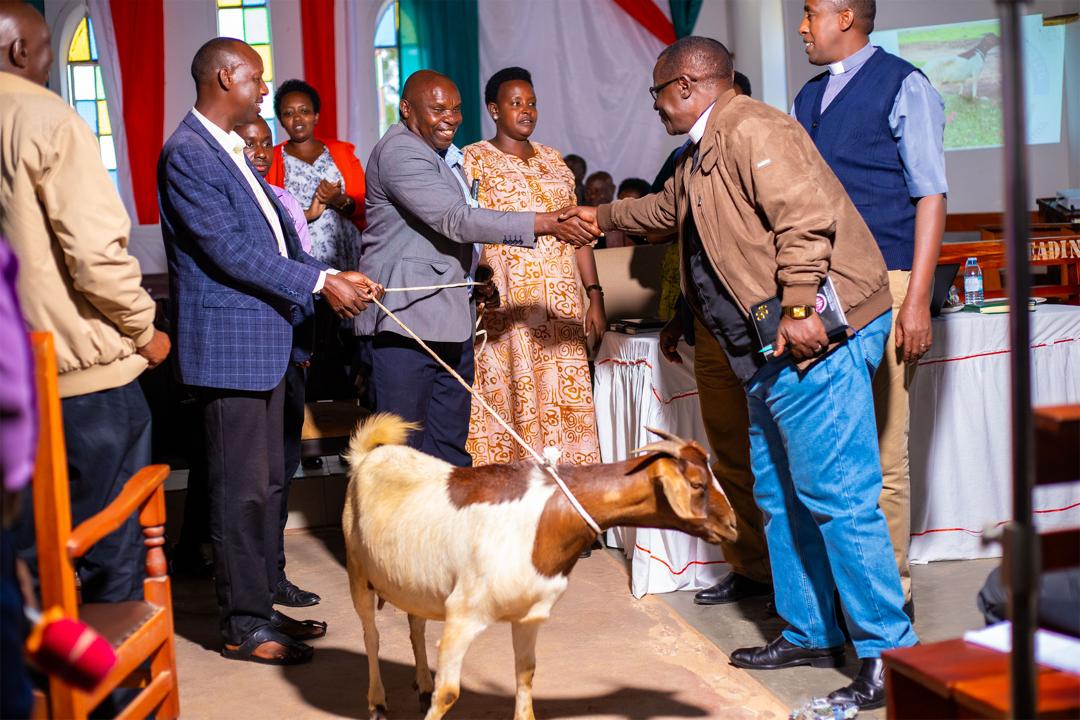 NAPS slideshow image 14